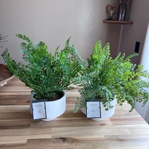 2pk Large 14” Fern in Modern Pot Artificial Arrangement